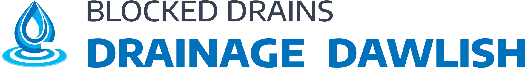 website logo